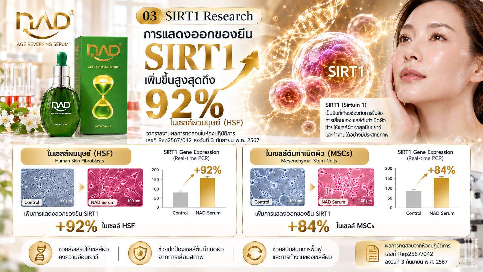 SIRT1 Research NAD age reversing serum